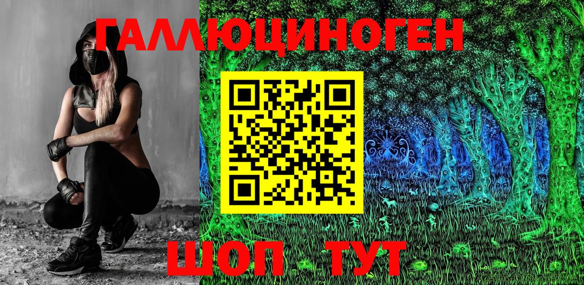 Галлюциногенные грибы Psilocybe Красноармейск